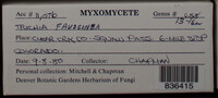 Image Associated With the Occurence